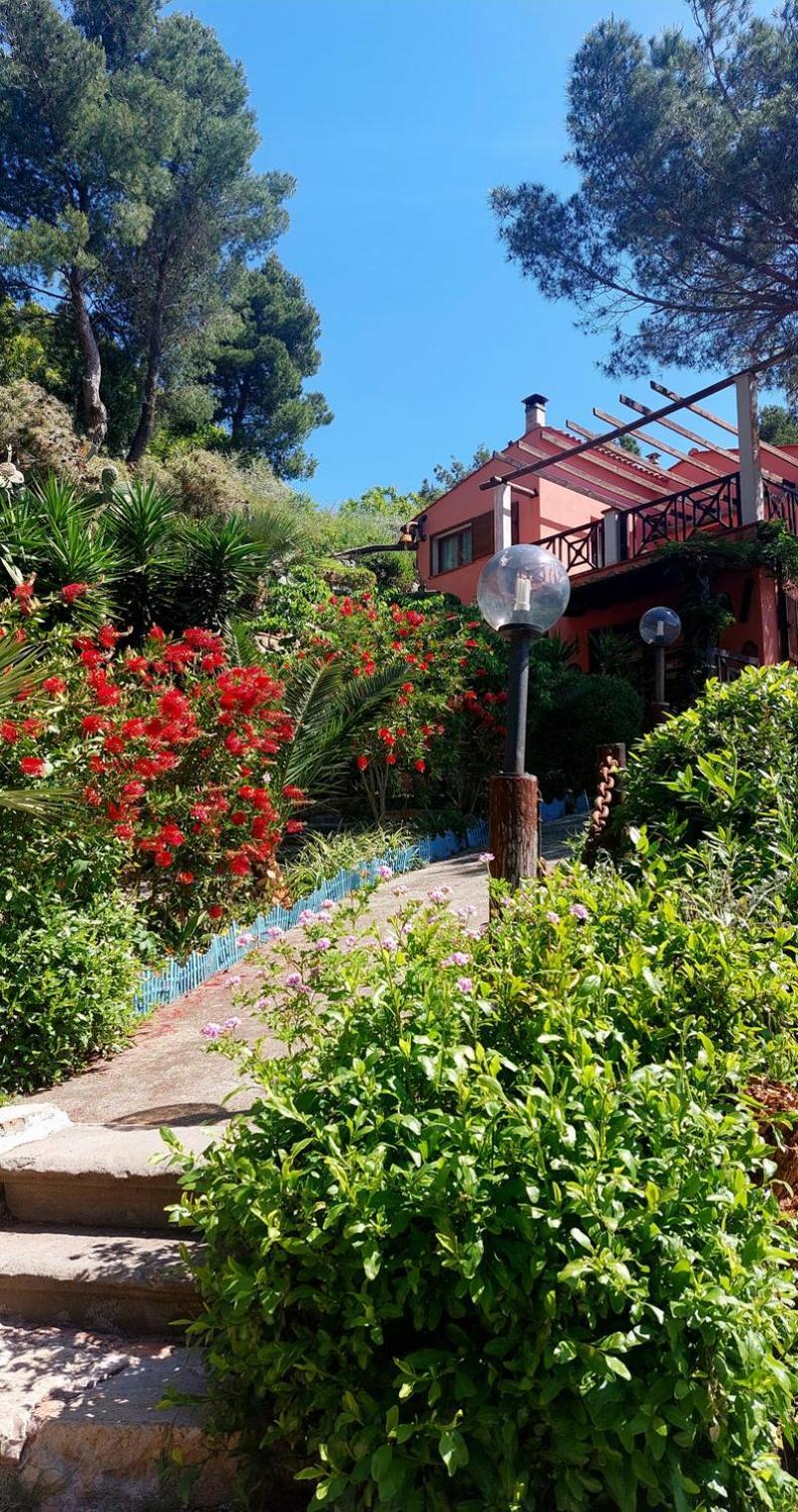 Villetta Dei Fichi D'India Rio dellʼElba 外观 照片