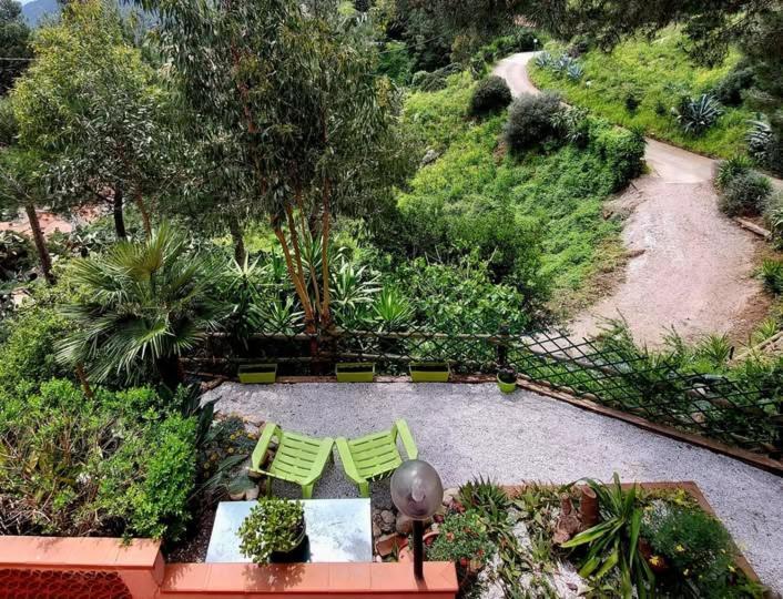 Villetta Dei Fichi D'India Rio dellʼElba 外观 照片